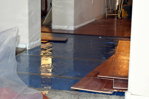 Professional Burst Pipe Cleanup technician working in Thorndike, MA